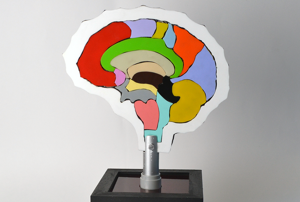 My first college project, a model of a brain to be used as an award for scientific achievement. Made with hand-cut Perspex, the model also functions as an interactive puzzle, with each piece being magnetic.